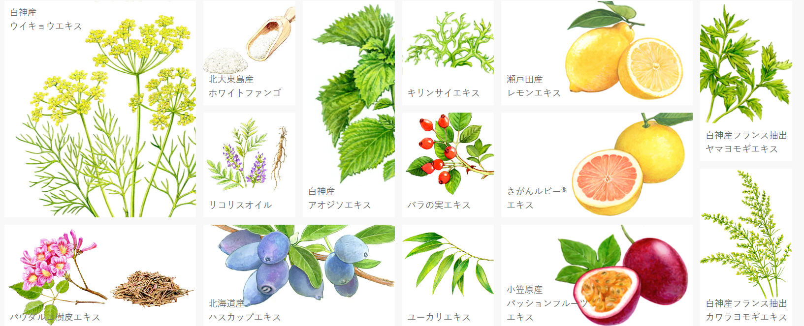 img20221031233112905037.png