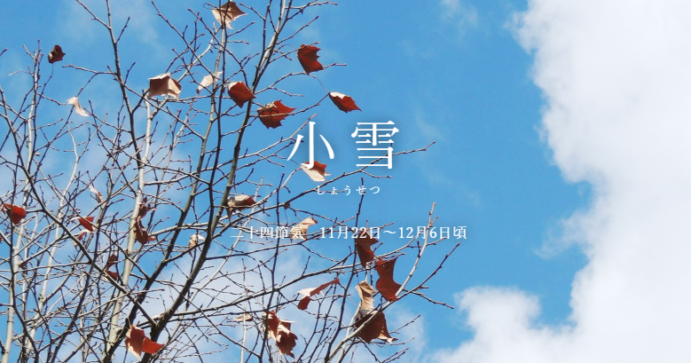img20231103123748982273.png