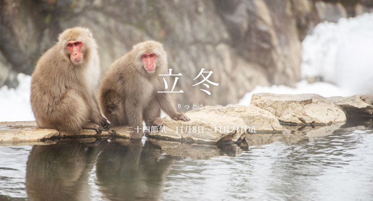 img20231103123754906321.png